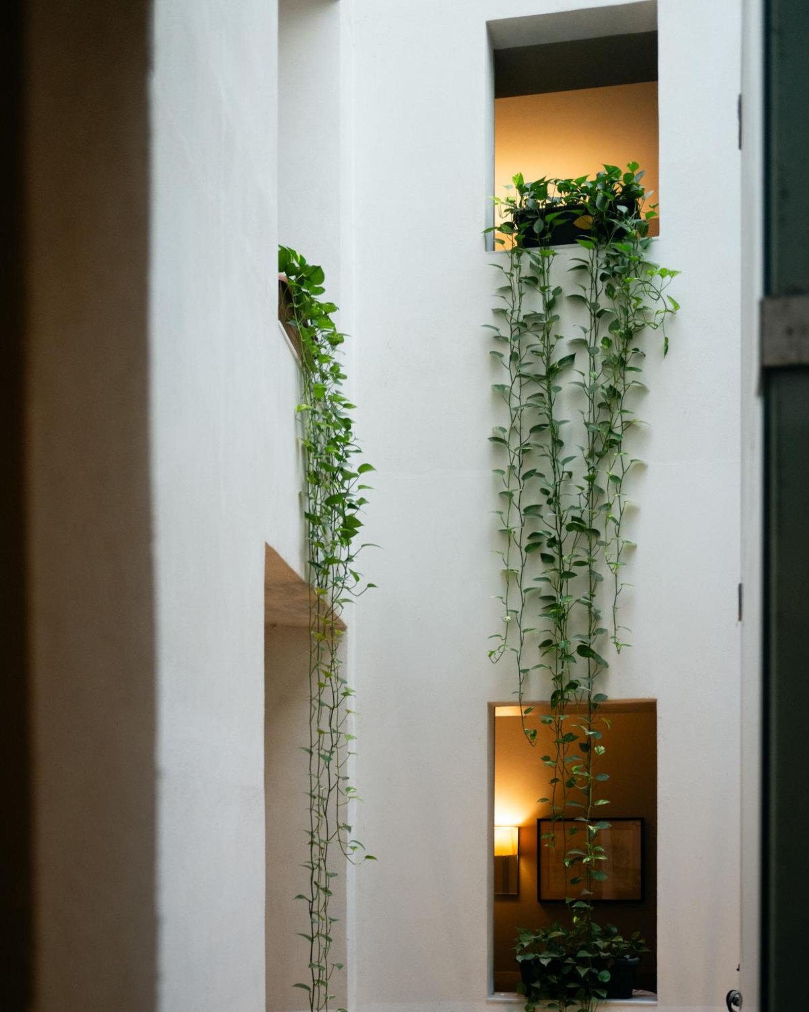 Hotel Ramblas Internacional Барселона Экстерьер фото